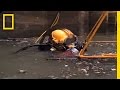 Sewer Diving | National Geographic