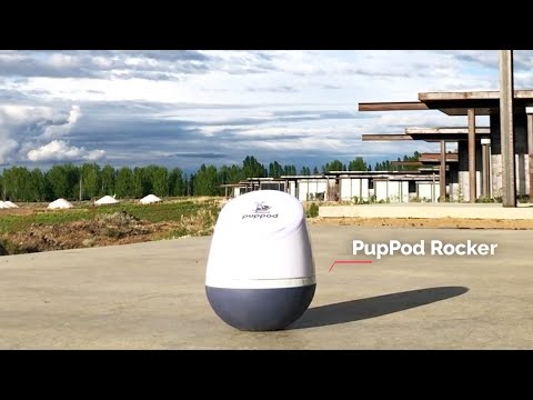 PupPod Rocker Promo Video