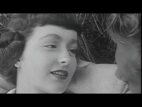 Wolf Alice - No Hard Feelings (Unofficial Video)