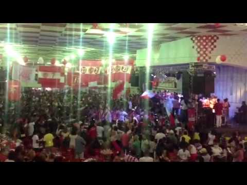 Samba do Salgueiro 2013