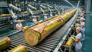 Banana Stem Processing Factory – Full Production Tour