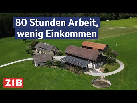 Steiermarks Bauernsterben: Warum immer mehr Höfe zusperren | ZIB2 vom 17.08.2025