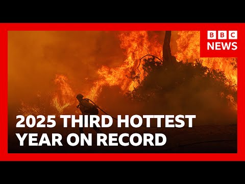 2025名列史上第三熱！儘管全球氣溫微幅下降｜BBC News (2025 third hottest year on record despite global temperature dip | BBC News)