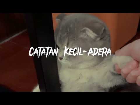 Catatan kecil - Adera (speed song)