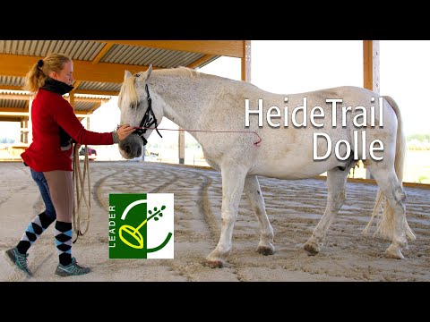HEIDETRAIL Dolle | LAG Colbitz-Letzlinger Heide