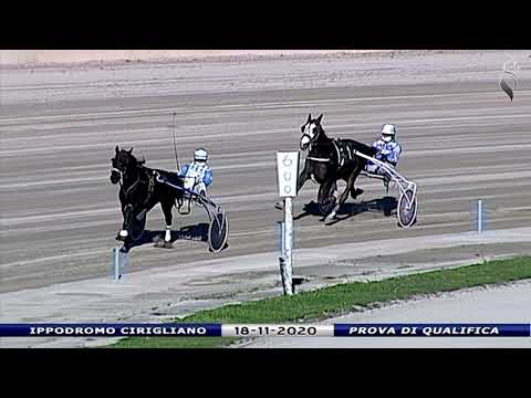 Aversa trotto 18 Novembre 2020 - Prova di qualifica