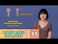 Waku Waku Japanese - Lesson 25: Holidays