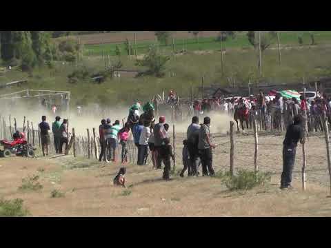 HUERGO   7°   ESTERCITA   23-10-22