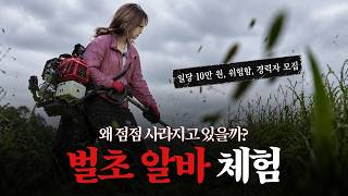 매년 사람이 다치는 벌초, 직접 알바 해봤습니다.