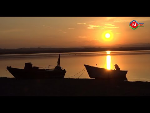 İş başında - Balıqçılıq 20.11.2020