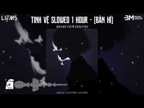 Tinh Vệ Slowed 1 Hour - (Bản Hí) - Phổ Nghi || Nhạc Remix Hot Douyin - Hot TikTok Douyin Remix 2025