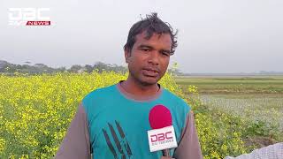 জাজিরাতে বার সরিষা ১৮ এর বৃদ্ধি