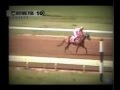 Carrera De Caballos La Chika Wow Wow 2009