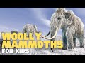 Woolly Mammoths For Kids Learn All About This Furry Animal And Its Existence During The Ice Ages
