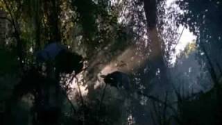 TSCC: Bombing Bastards