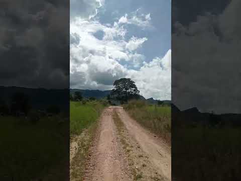 olha essa vista indo a direção a Serra dourada campo das Perdizes, Buriti de Goiás#agro#natureza