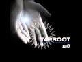 Taproot - Dragged Down