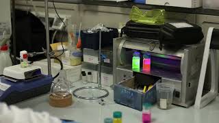 Il team di Catania tanti musicisti con strumenti diversi, con la stessa armonia