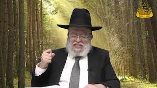 דף היומי בחצי שעה – סנהדרין דף ס”ד