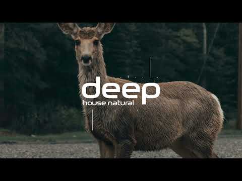 iTTLEMIL - Wild Nature (Original Mix) DHN396