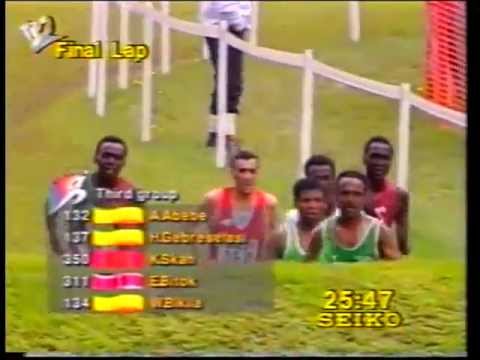 1993 World Cross Country Championships - Amorebieta, Spain