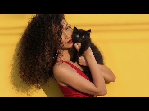 Domnișoara cu Pisică EXTENDED| Am și eu o pisicuță | Pisicuță Pis-Pis-Pis! versuri @respirpoezie 