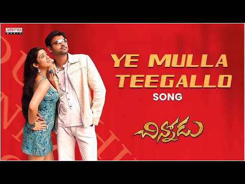 Chinnodu (Song)