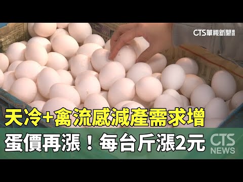 蛋價再漲！　天冷+禽流感減產需求增　每台斤漲2元