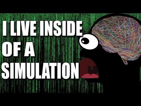 I LIVE INSIDE OF A SIMULATION - THE SIMULATION THEORY