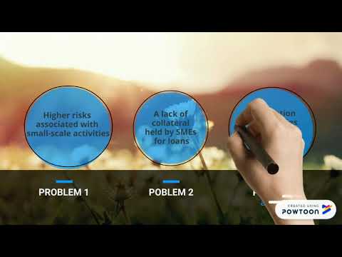 Finance for small and medium sized entities(SMEs)