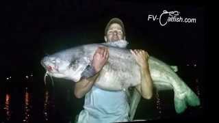 Giant Night Blue!