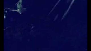 Cause of Laughter - Symphorce