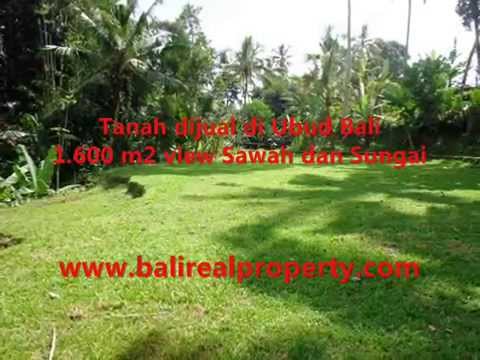 1.600 m2 Lahan View sawah dan sungai di Sentral Ubud TJUB416 1.600 m2 Lahan View sawah dan sungai di Sentral Ubud TJUB416