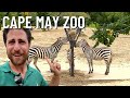 Cape May Zoo Day   2022