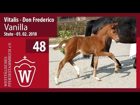 48 Vanilla SF v. Vitalis - Don Frederico