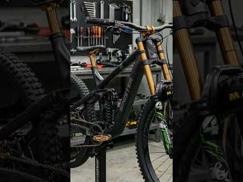 Sinister Ghost DH 2.8 By Biker Extreme Factory Tupungato - Mendoza 🤙