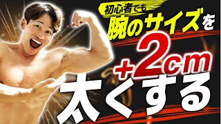 【初心者向け】6週間で腕を2cm以上太くするトレーニングプログラム