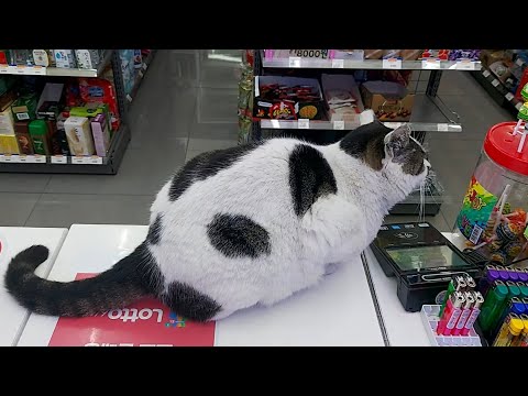 일하는데 아침부터 진상이 찾아옴