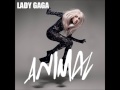 Animal - Lady GaGa