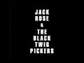 Jack Rose & The Black Twig Pickers -- Goodbye Booze