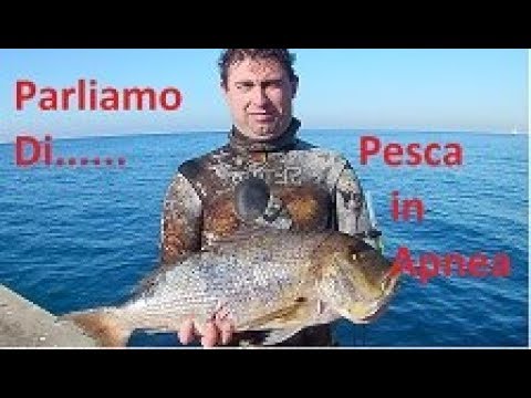 Pesca in apnea : Compensazione , orecchio , manovre  #video 10