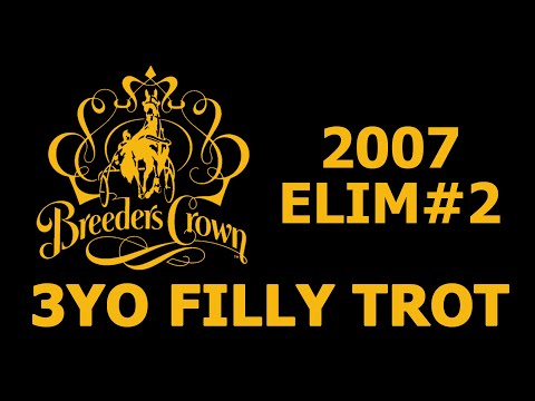 2007 Breeders Crown Elim#2 - Michelles Angel - 3YO Filly Trot