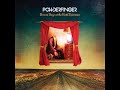 06 ◦ Powderfinger - Long Way to Go  (Demo Length Version)