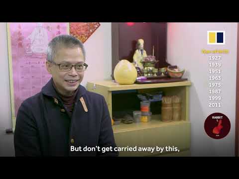 What’s your fortune in the coming Year of the Dog?