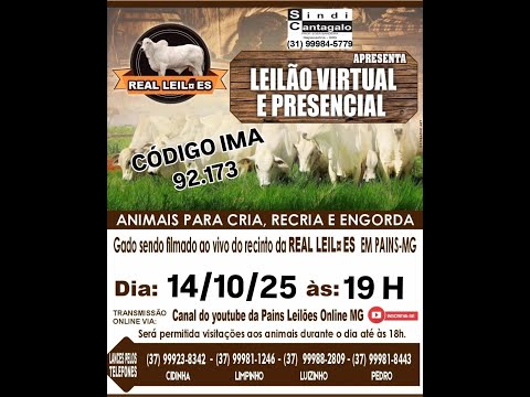 133º Leilão Virtual - Real Leilões - Pains MG