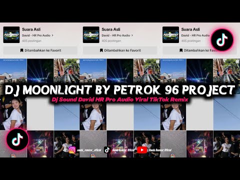 Dj Moonlight By Petrok 96 Project || Dj Sound David HR Pro Audio Viral TikTok Remix