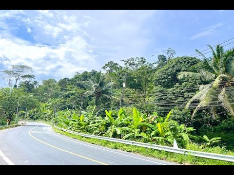 6+ Rai of Land for Sale in the Lush Tropical area of Sakhu, Phuket