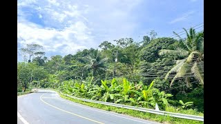 6+ Rai of Land for Sale in the Lush Tropical area of Sakhu, Phuket