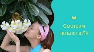 Работа с каталогом в ЛК