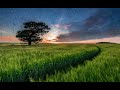 Sawan Ke Jhulo Ne Mujhko Bulaya Mohammad Aziz Love Song Status